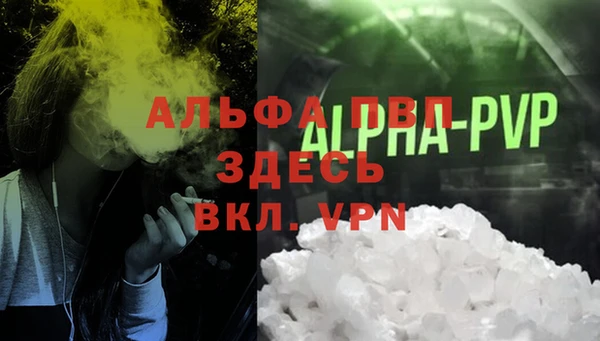 индика Михайлов