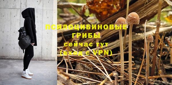 герыч Апатиты