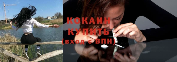индика Михайлов