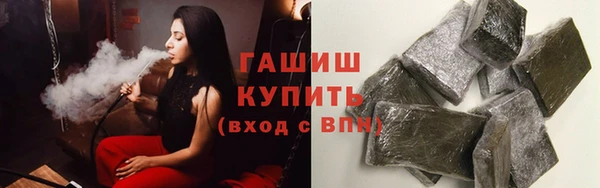 индика Михайлов