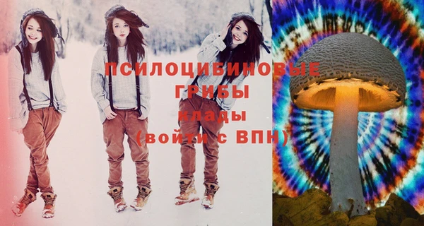 индика Михайлов