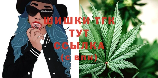 индика Михайлов
