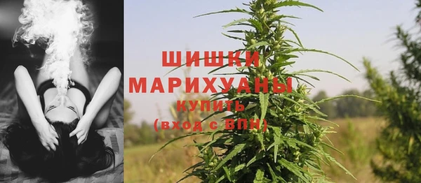 индика Михайлов