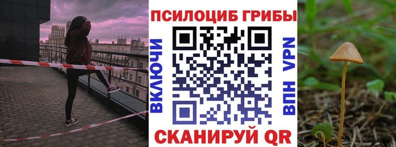 как найти закладки  Тобольск  Галлюциногенные грибы Psilocybine cubensis 