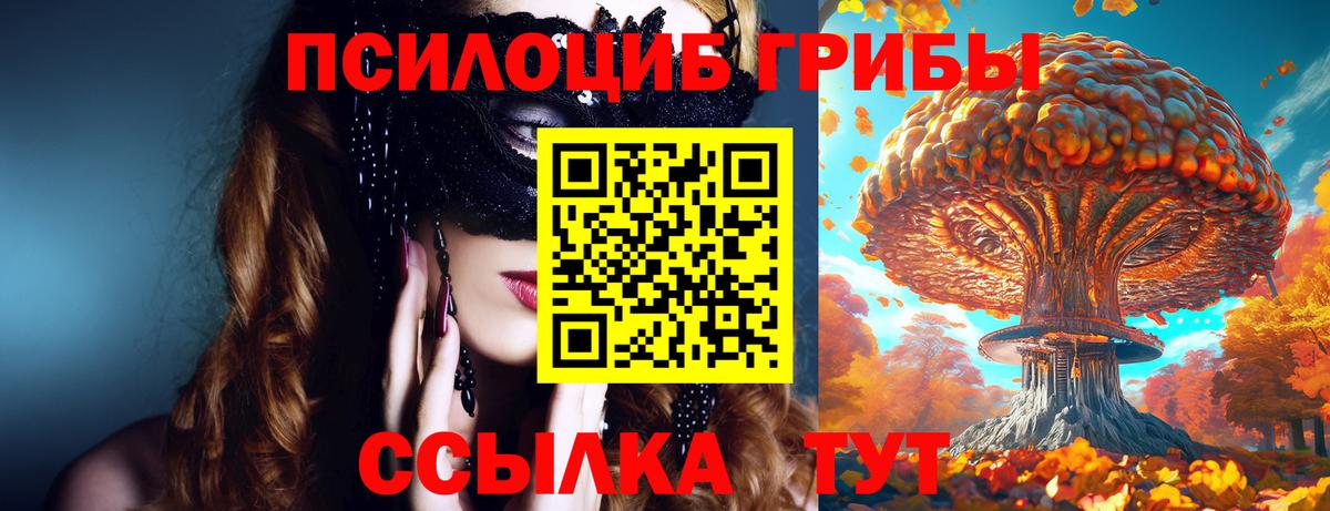 Псилоцибиновые грибы GOLDEN TEACHER Тобольск